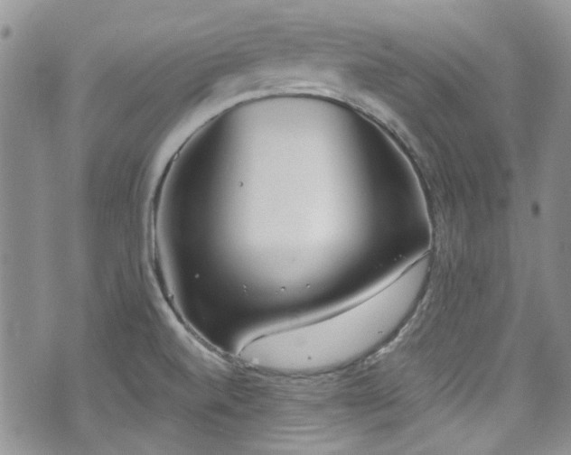 X0000070881520200606191302