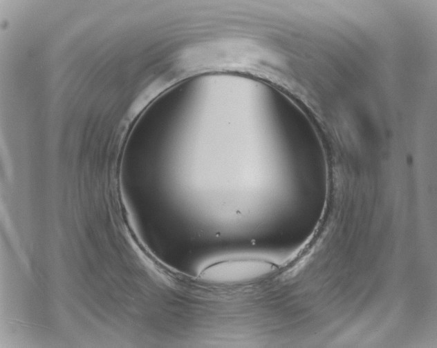 X0000070881521200606191302