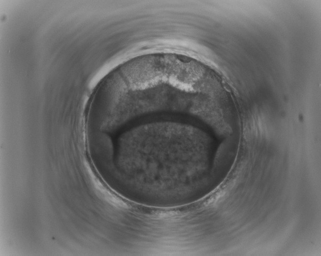 X0000070881522200606191302