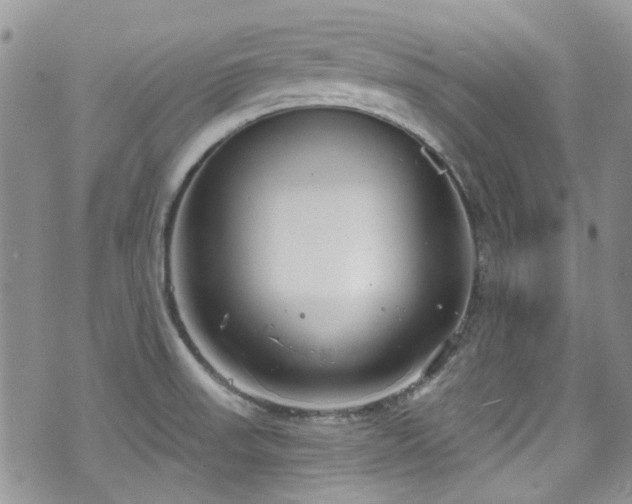 X0000070881523200606191302