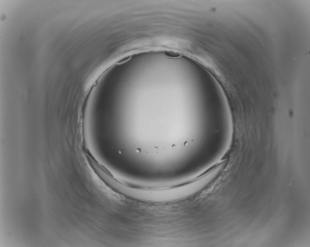 X0000070881524200606191302