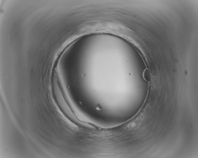 X0000070881525200606191302