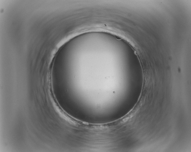 X0000070881526200606191302