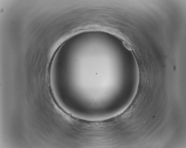 X0000070881527200606191302