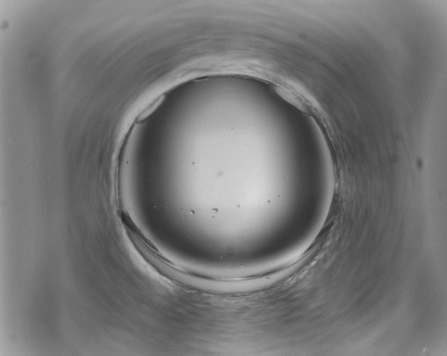 X0000070881528200606191302