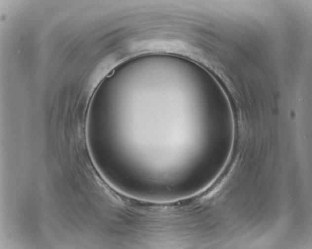 X0000070881529200606191302