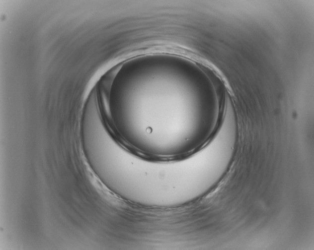 X0000070881530200606191302