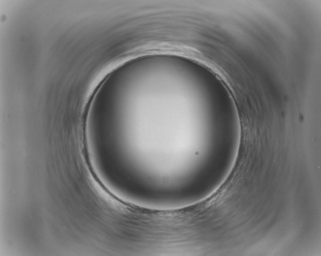 X0000070881531200606191302