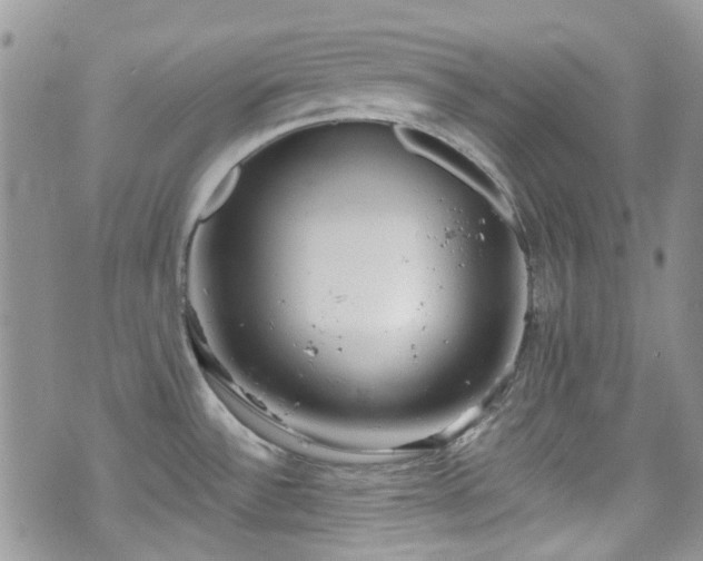 X0000070881532200606191302