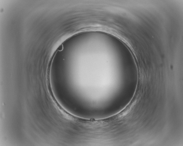 X0000070881533200606191302