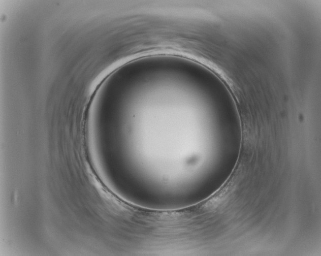 X0000070881534200606191302