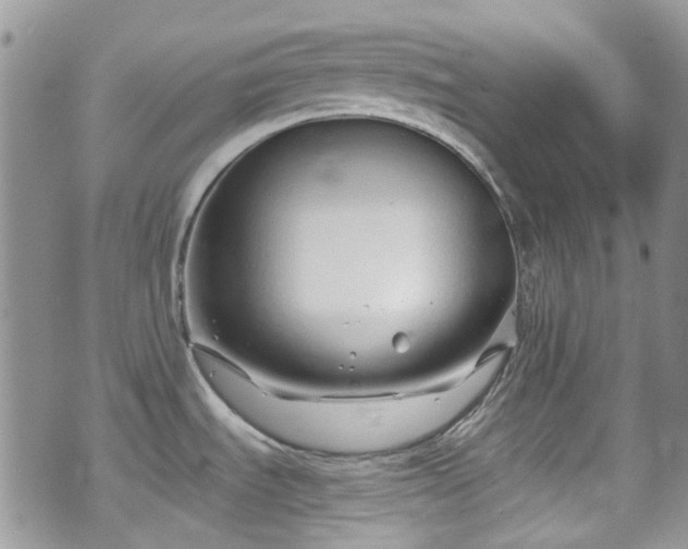 X0000070881535200606191302