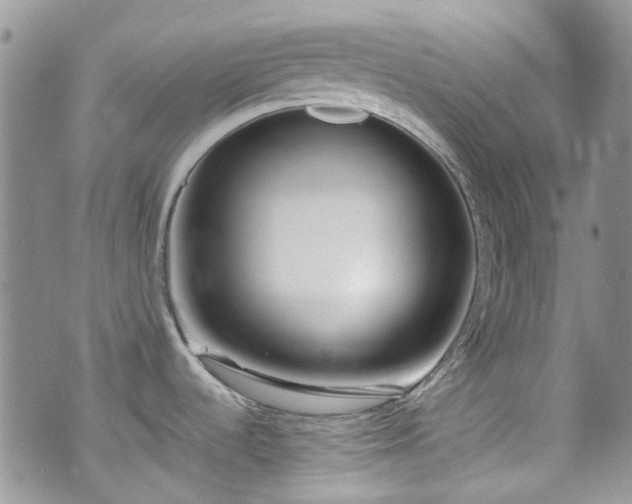 X0000070881536200606191302