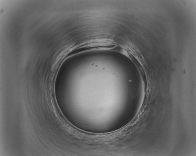 X0000070880001200606231354