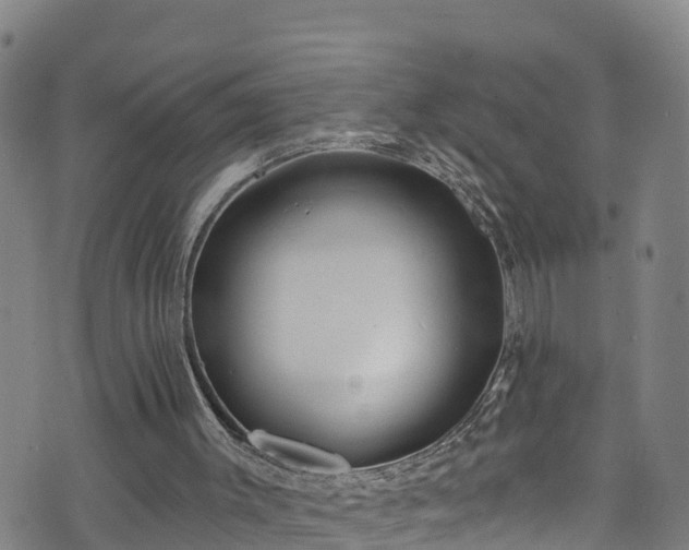 X0000070880003200606231354