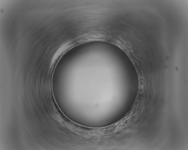 X0000070880004200606231354