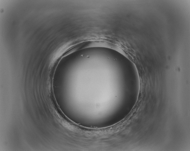 X0000070880005200606231354