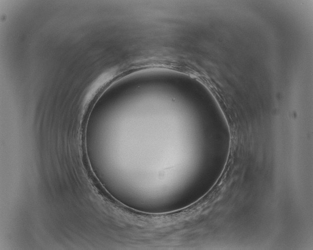 X0000070880006200606231354