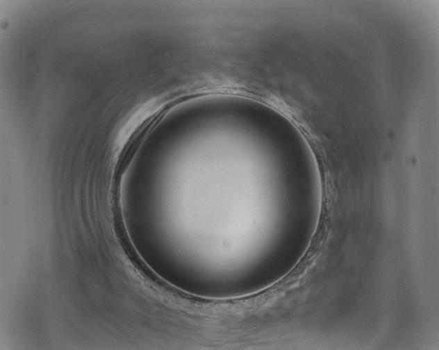 X0000070880007200606231354