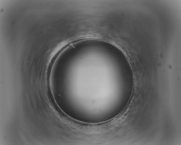 X0000070880008200606231354