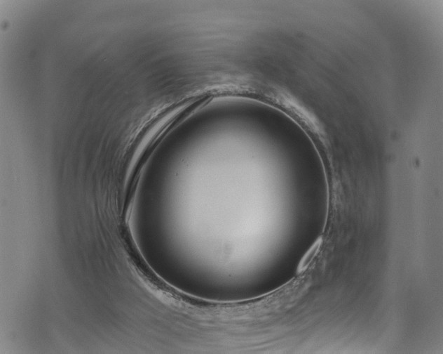 X0000070880009200606231354