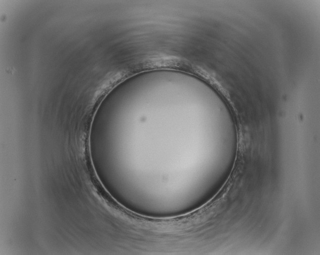 X0000070880010200606231354