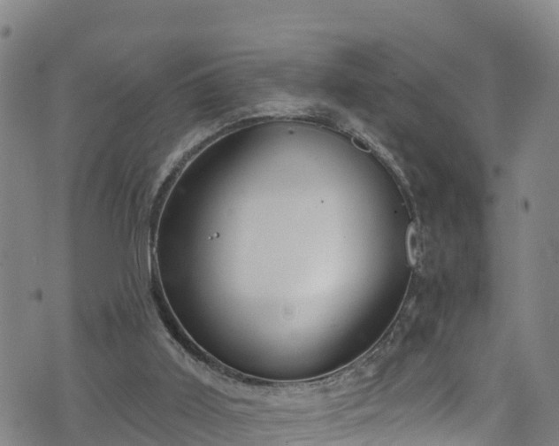 X0000070880011200606231354