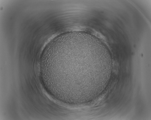 X0000070880012200606231354