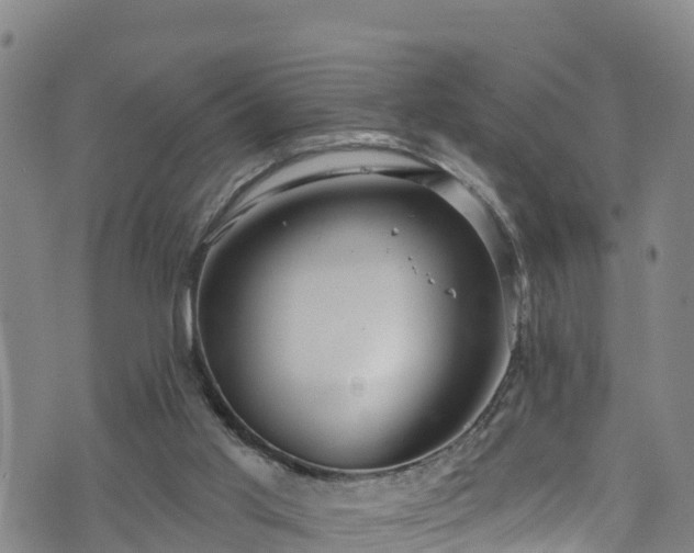 X0000070880013200606231354