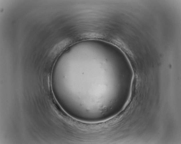 X0000070880014200606231354