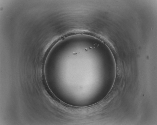 X0000070880015200606231354