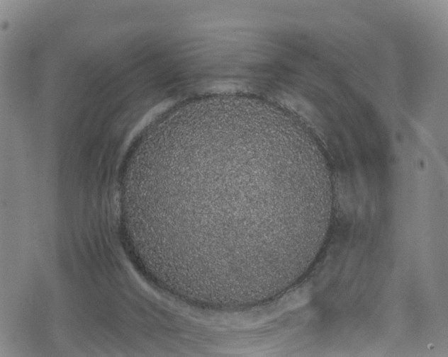 X0000070880016200606231354