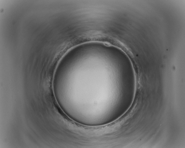 X0000070880018200606231354