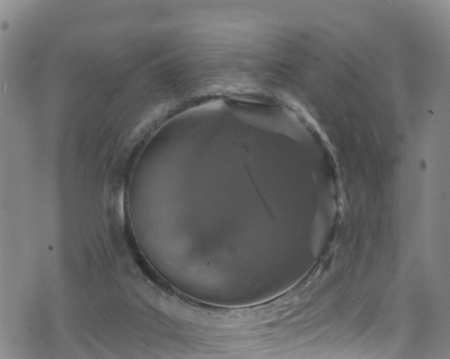 X0000070880019200606231354