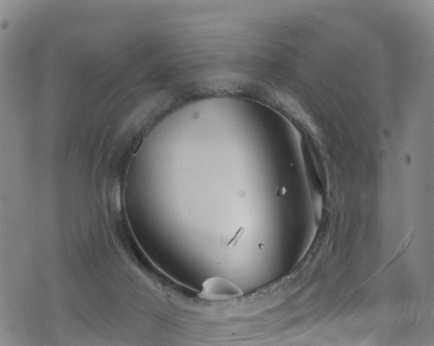 X0000070880021200606231354