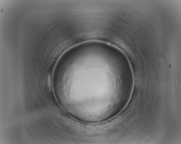 X0000070880022200606231354