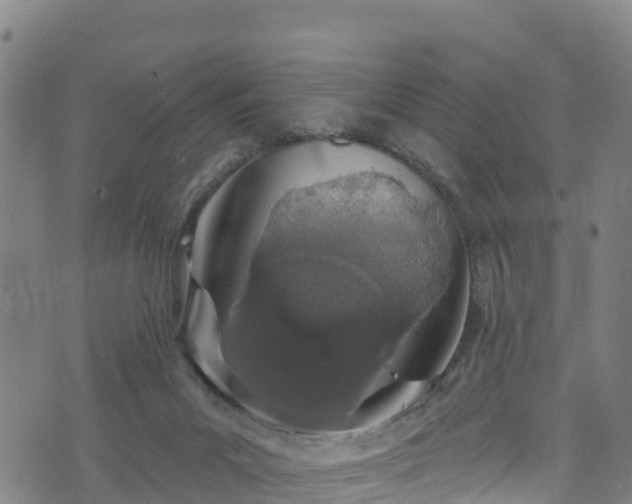 X0000070880023200606231354