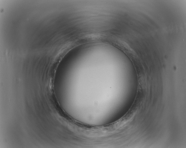 X0000070880024200606231354