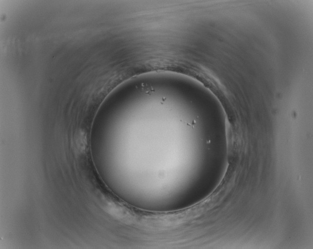 X0000070880025200606231354