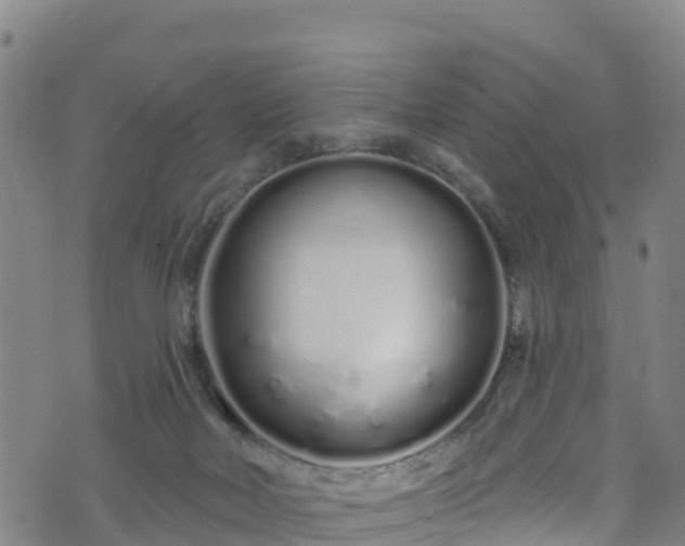 X0000070880026200606231354