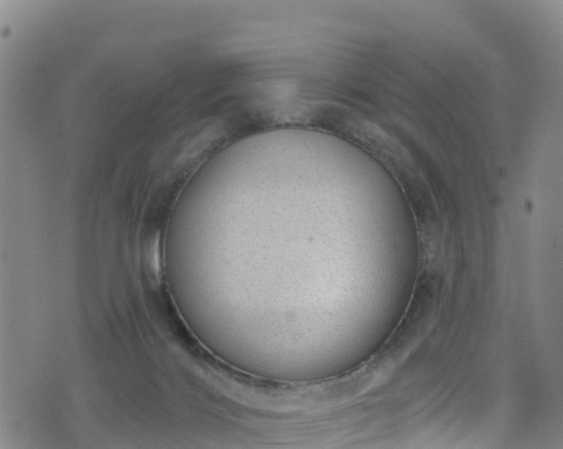 X0000070880028200606231354