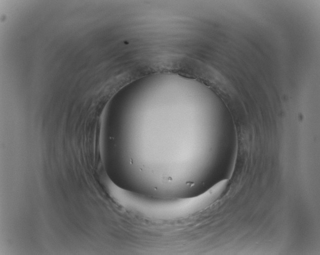 X0000070880029200606231354