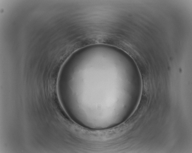 X0000070880030200606231354