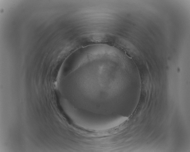 X0000070880031200606231354