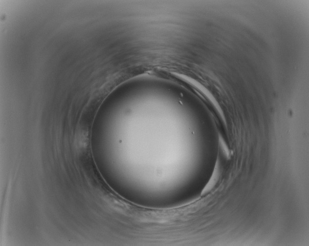 X0000070880033200606231354