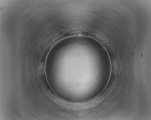 X0000070880034200606231354