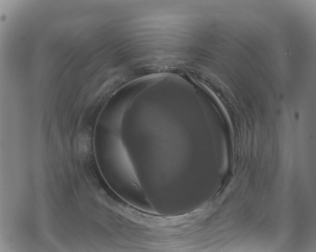 X0000070880035200606231354