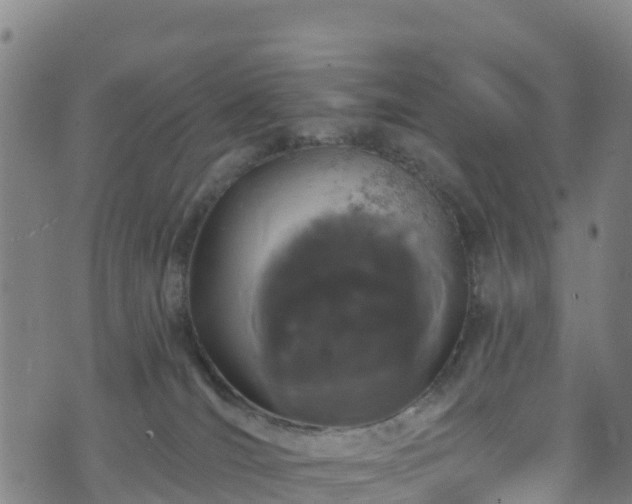 X0000070880036200606231354