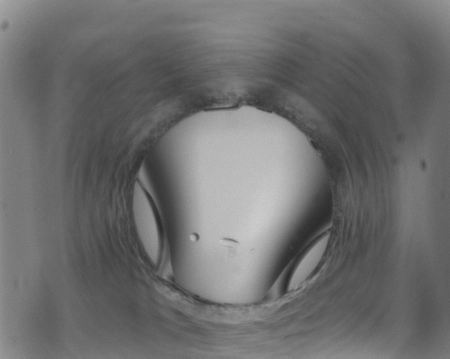 X0000070880037200606231354