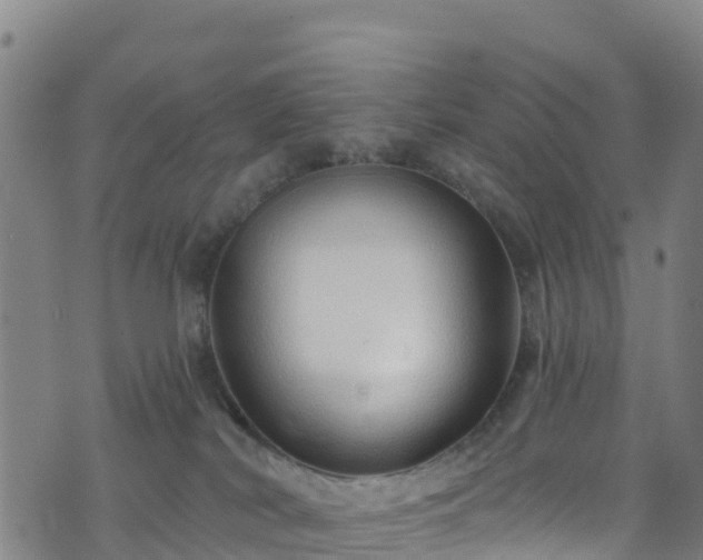 X0000070880038200606231354